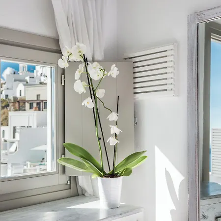 Hotel On The Rocks - Small Luxury Of The World (adults Only)
